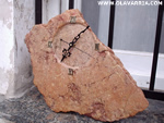 Ampliar Imagen