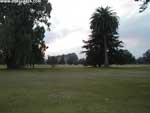 Ampliar Foto